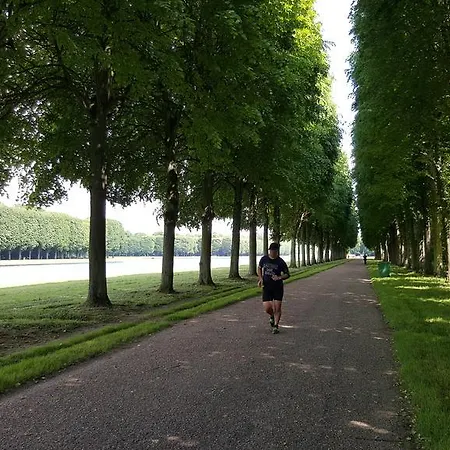 Les Carrés