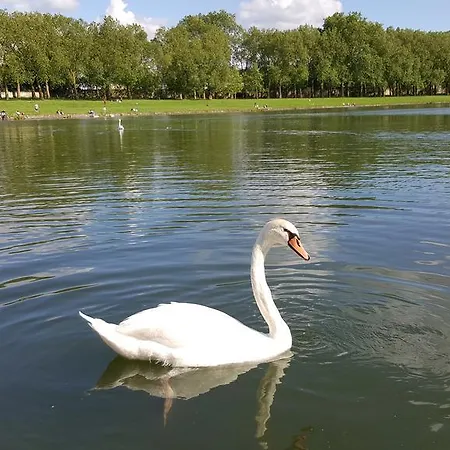 Les Carres Versalhes