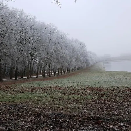 Les Carres Apartamento