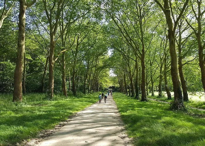 Appartement Les Carres *