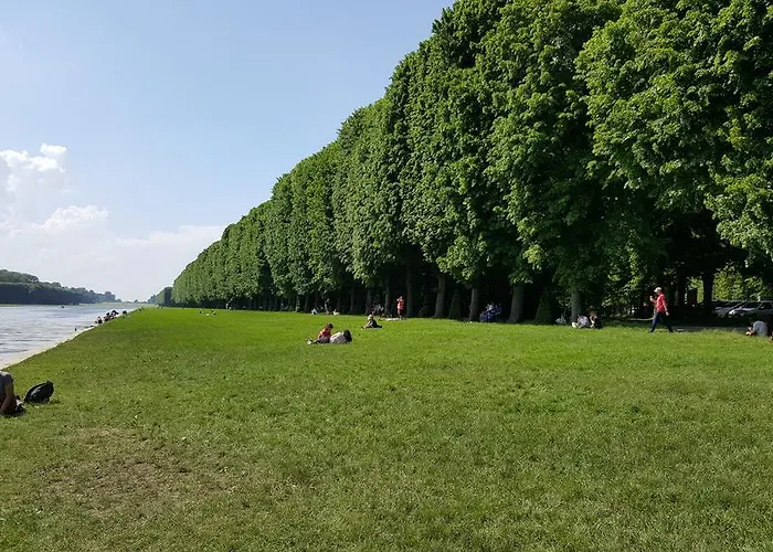 Appartement Les Carres Versailles