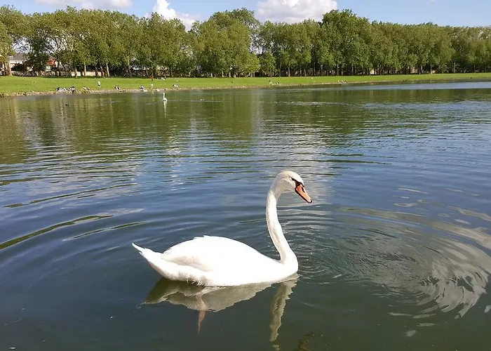 Les Carres Versailles