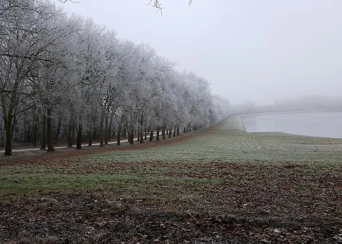 Les Carres Appartement